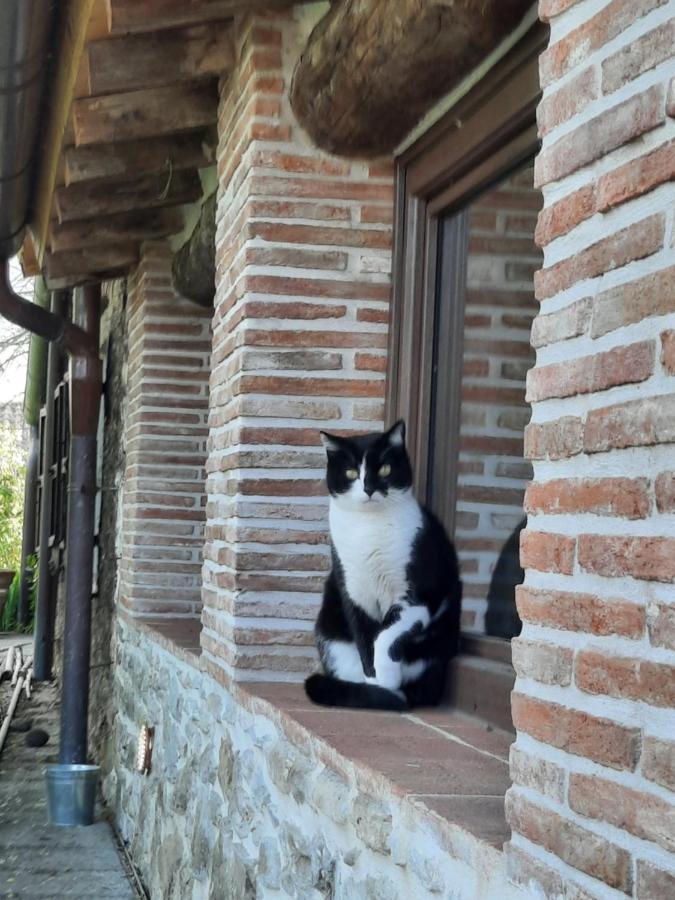 Ca' Delle Sore * Arezzo
