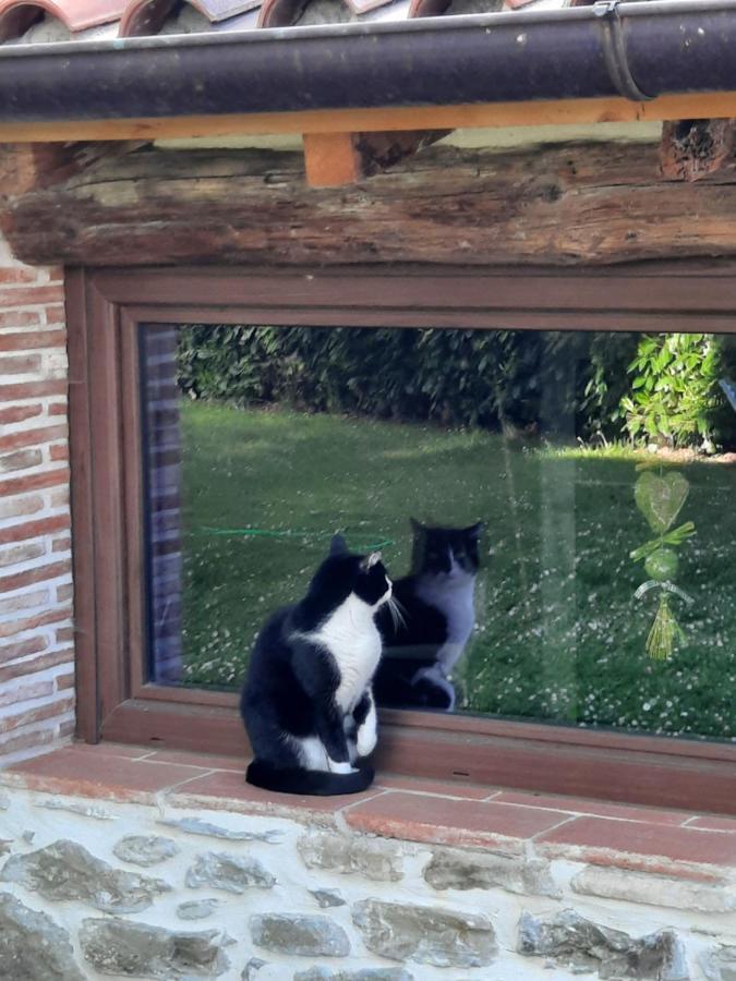 Holiday home Ca' Delle Sore